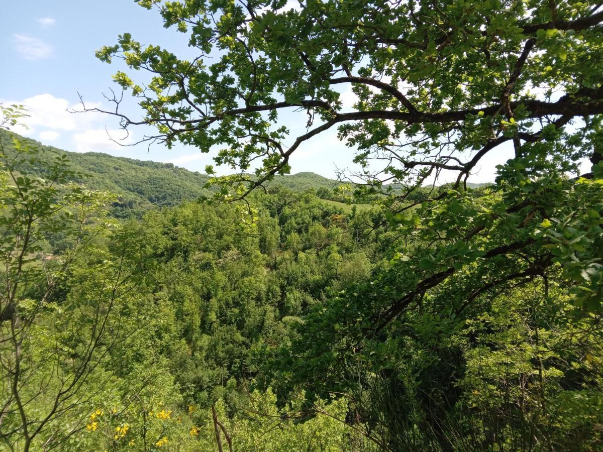 Casa Biron Guest House Molino Sant'Anna Екстериор снимка