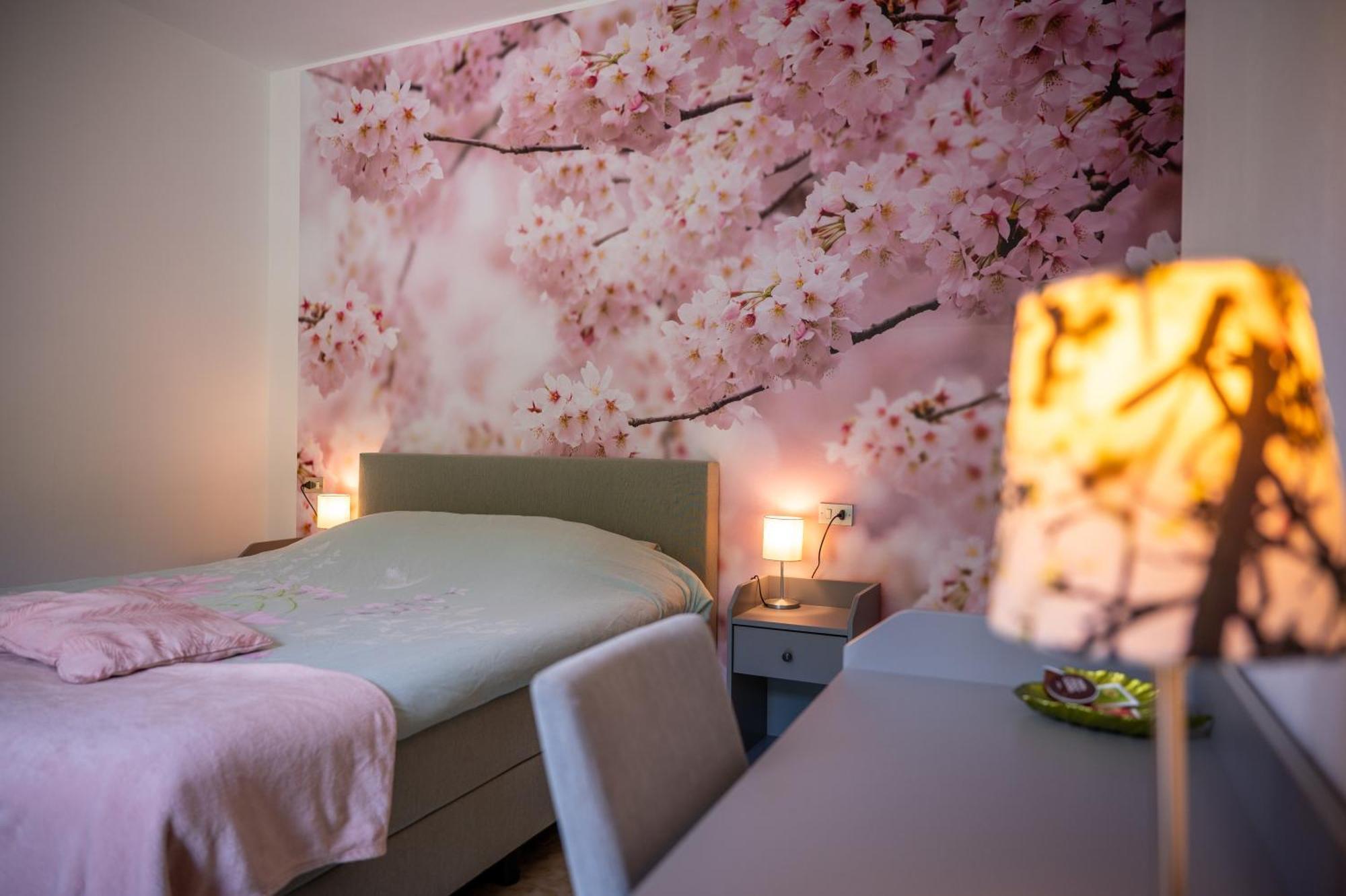 Casa Biron Guest House Molino Sant'Anna Екстериор снимка