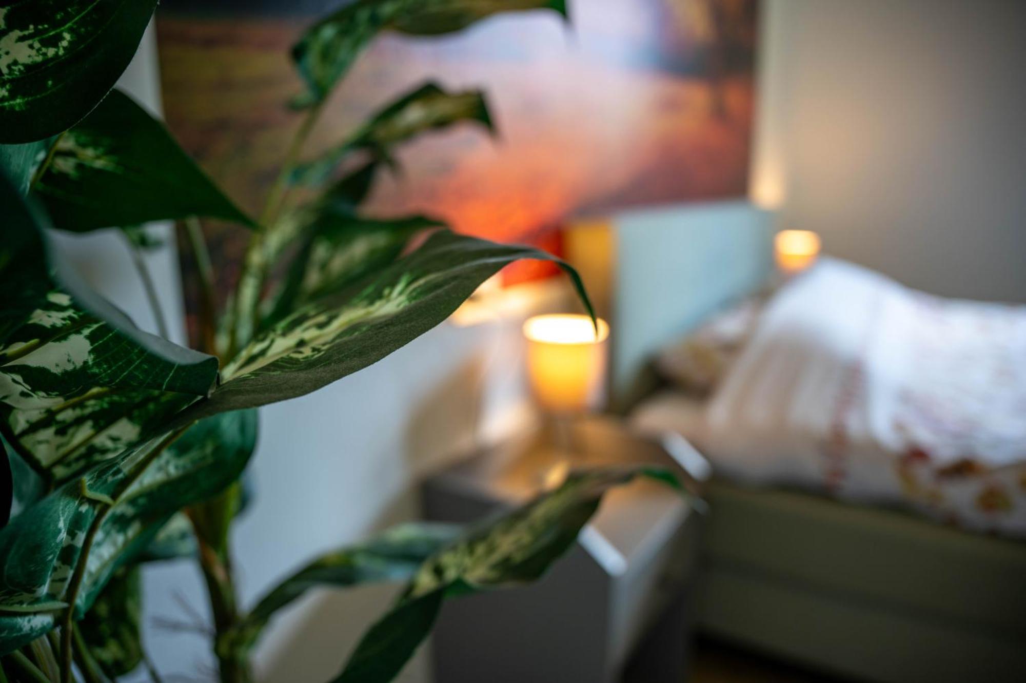Casa Biron Guest House Molino Sant'Anna Екстериор снимка
